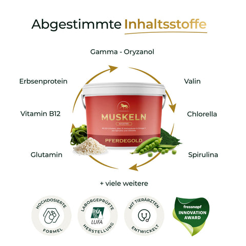 Ein weißer Hintergrund zeigt das Ergänzungsfuttermittel Pferdegold Muskeln 2.0 Sojafrei, umgeben von gekennzeichneten Nährstoffen und Auszeichnungsplaketten, die die Qualität des Pferdefutters und die Vorteile für den Pferdemuskelaufbau hervorheben.