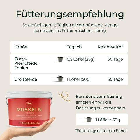 Fütterungsempfehlungstabelle mit Dosierangaben für Pferdegold Muskeln 2.0 Sojafrei - das ideale sojafreie Pferdefutter zur Unterstützung starker Pferdemuskeln.