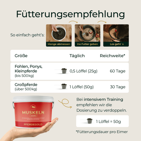 Tabelle mit Fütterungsempfehlungen für Pferdegold Muskeln 2.0 Sojafrei nach Pferdegröße, inklusive Schaufel und Produktbildern zur Unterstützung des optimalen Muskelaufbaus und der Auswahl des besten Pferdefutters.