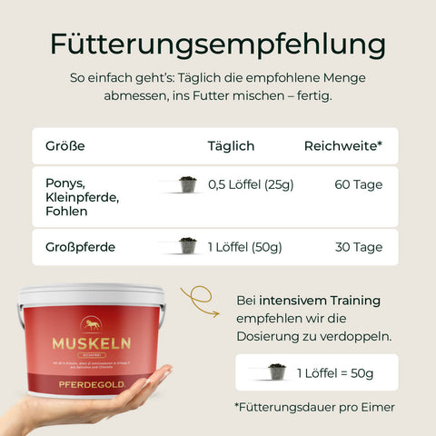 Fütterungsempfehlung für Pferdegold Muskeln 2.0 Sojafrei mit Dosierungstipps für Ponys und Großpferde sowie Hinweisen zur optimalen Menge - ideal zum Muskelaufbau bei Pferden.