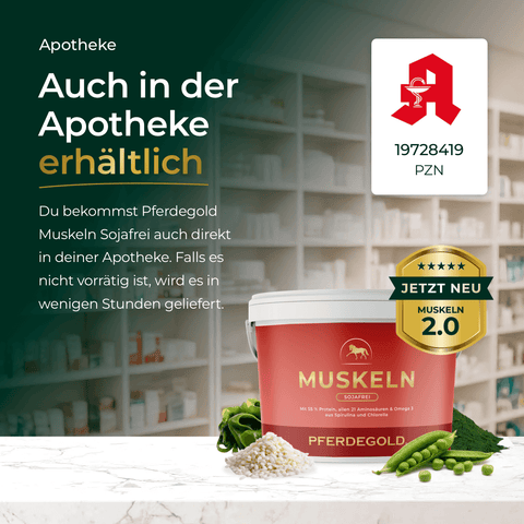 Muskeln 2.0 Sojafrei von Pferdegold: Ergänzungsfutter im praktischen Becher, unterstützt gezielt den Muskelaufbau beim Pferd - bewährte Qualität, ohne Soja und mit hochwertigen Inhaltsstoffen.