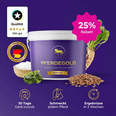 Pferdegold® Nerven 25% Rabatt