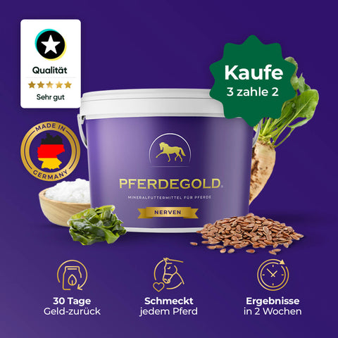 Pferdegold® Nerven 3 für 2