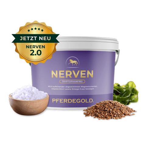 Ein Pferdegold Nerven 2.0 Ergänzungsbecher für Pferde Beruhigung steht neben Leinsamen, Salz und Meeresalgen.