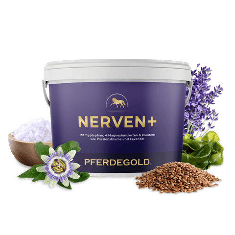 Pferdegold Nerven+ mit Tryptophan (Tub), ergänzt durch Lavendel, Passionsblume, Leinsamen und weitere beruhigende Kräuter – ideal als natürliches Beruhigungsmittel für Pferde zur Förderung des Wohlbefindens Ihres Pferdes.