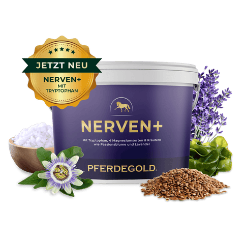 Ein lilafarbener Pferdegold Nerven+ mit Tryptophan-Behälter zur Beruhigung von Pferden, gefüllt mit Kräutern und Samen, trägt die Aufschrift Jetzt Neu" in deutscher Sprache.