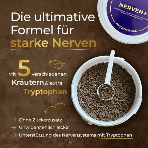 Pferdegold® Nerven+ Nachfüllpack 3kg ist ein runder Behälter mit braunen Pellets, der als Nahrungsergänzungsmittel für die Nerven mit Kräutern und Tryptophan gekennzeichnet ist.