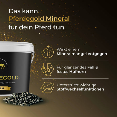 Die Pferdegold® Putzbox Bundle Deluxe von Pferdegold® enthält Pellets und Vorteile für Pferde, die in deutscher Sprache auf einem gold-braunen Hintergrund dargestellt sind.