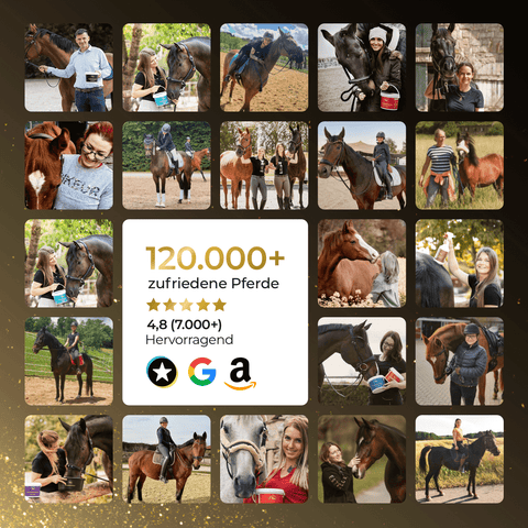 Eine Collage von Menschen mit Pferden, die das Pferdegold® Putzbox Bundle Deluxe zeigt: 120.000+ zufriedene Pferde, 4,8 Sterne (7.000+) Hervorragend.