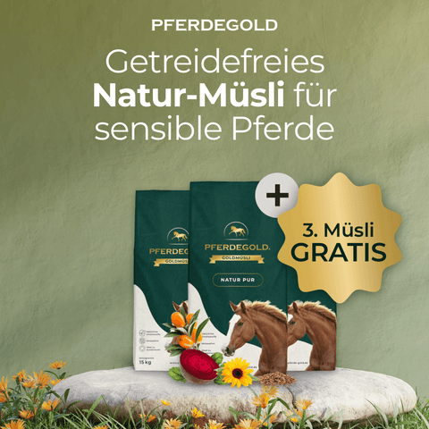 3 für den Preis von 2 bei Pferdegold® Goldmüsli Natur Pur! Getreidefrei und ballaststoffreich – ideal für empfindliche Pferde.