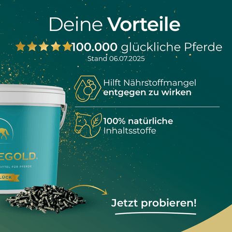 Ein weißer Eimer mit Pferdegold® Schmuddelwetter-Pellets, angereichert mit wertvollen Nährstoffen und Kräutern zur Förderung gesunder Hufe, mit einer Auflistung der Vorteile und dem Text „Jetzt probieren!“ auf grünem Hintergrund.
