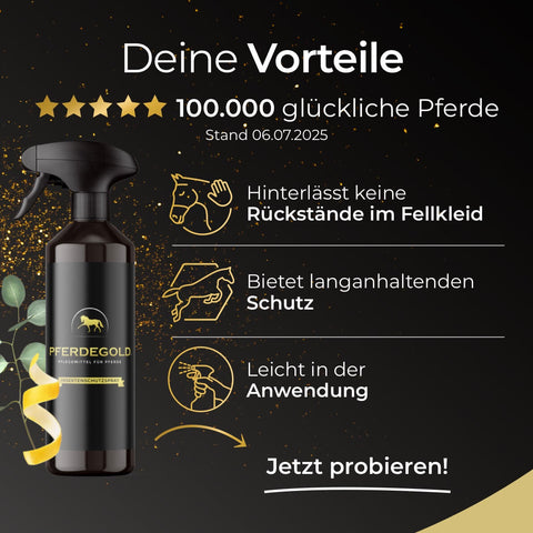 Schwarze Pferdegold®-Insektenschutzspray-Flasche mit Darstellungen der Vorteile für Pferde, goldenen Sternen und einer Pferdesilhouette auf dunklem Hintergrund – ideal für Ihr Sommer-Paket.