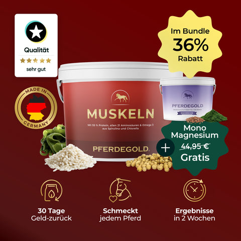 Pferdegold® Sport Balance 36 % ist ein Nahrungsergänzungsmittel mit Rabattetiketten, wichtigen Inhaltsstoffen wie „Aminosäuren Pferd“ und „Magnesium Pferd“ sowie Symbolen, die für Qualitätssicherung, Geld-zurück-Garantie und sichtbare Ergebnisse beim Muskelaufbau beim Pferd in nur zwei Wochen stehen.