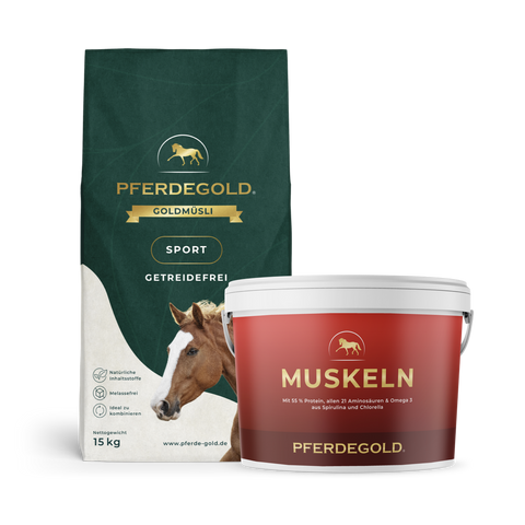 Das Pferdegold Sport Bundle: Muskelprotz getreidefrei ist eine getreidefreie Kombi für optimalen Muskelaufbau bei Pferden.