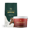 Das Sport Bundle: Muskelprotz by Pferdegold enthält Top-Produkte mit Pferdebildern, ideal zur Unterstützung des Muskelaufbaus Pferd.