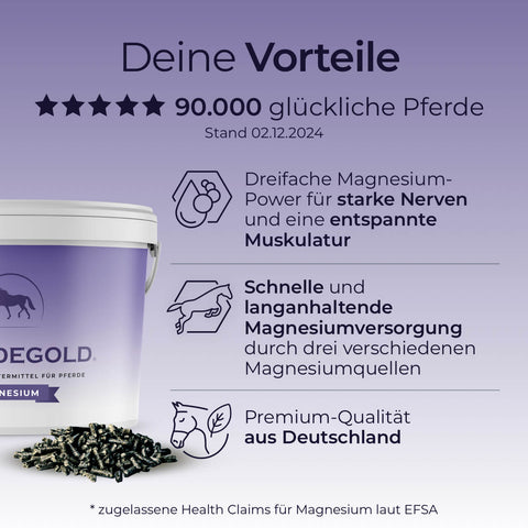 Pferdegold® Sport Balance Deluxe ist ein Magnesiumpräparat für Pferde, das starke Nerven und Muskeln unterstützt und deutsche Premiumqualität bietet.