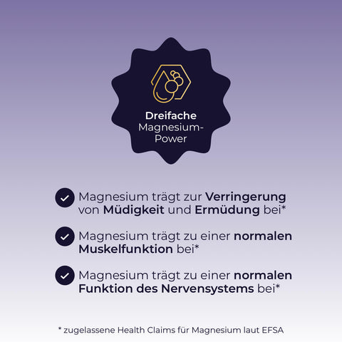Infografik mit Symbol: „Sport Balance Deluxe“ von Pferdegold® bietet dreifache Magnesium-Power – drei Vorteile übersichtlich auf Deutsch.