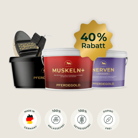 Das Pferdegold®-Starterpaket enthält drei Dosen mit Ergänzungsfuttermitteln, eine Reinigungsbürste und einen Rabatt-Aufkleber mit 40 % Rabatt sowie Symbolen für die jeweiligen Vorteile – ideal für die einfache Pferdepflege und hochwertige Futterergänzungen.