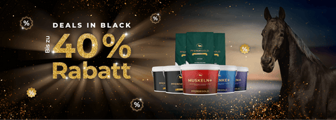 Das NonPLUSultra

für dein Pferd!
