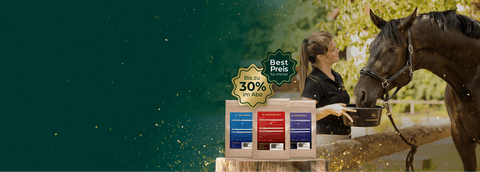 Sichere dir nochmal

 bis zu
  30% Rabatt

