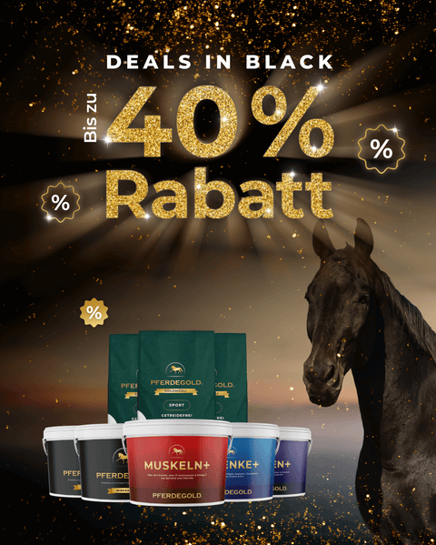 Das NonPLUSultra

für dein Pferd!
