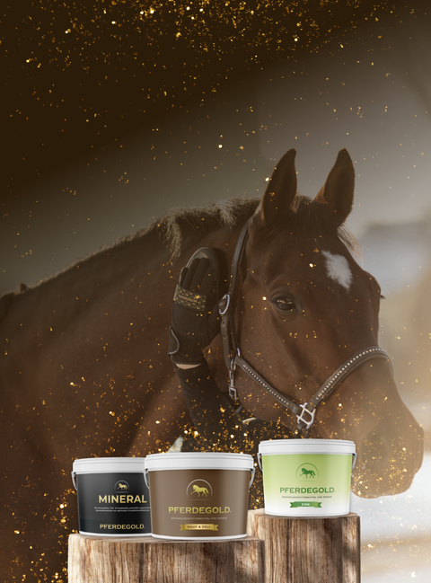 Fellwechsel-Sale

Bis zu 25 % auf Bundles