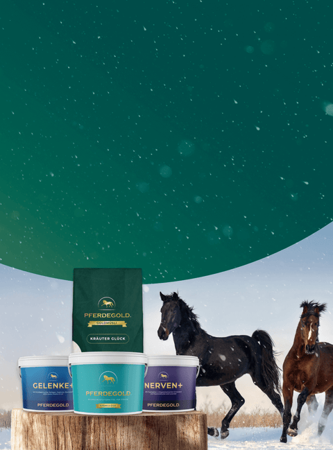 Vital &amp; fit

durch den Winter!