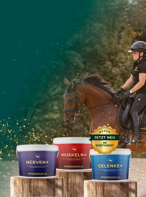 Das NonPLUSultra

für dein Pferd!