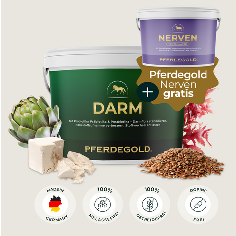 Zwei Kübel Pferdegold® Stressbalance (Darm + Nerven) mit Artischocke und Flachs - melassefrei, getreidefrei, dopingfrei - unterstützen die Nerven und die Verdauung des Pferdes; die Symbole weisen auf die deutsche Herkunft hin.