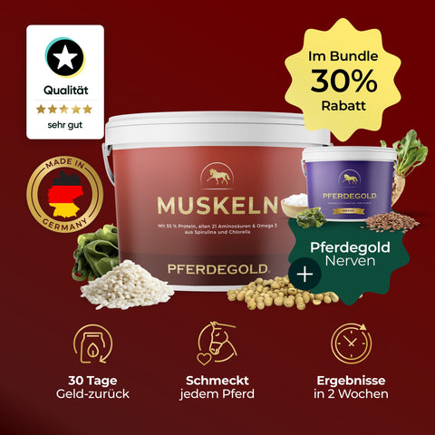 Trainings Duo (Muskeln + Nerven) - 30% Rabatt