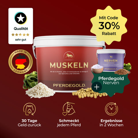 Rote und violette Pferdegold® Bestseller Duo (Muskeln+Nerven) Becher sind mit Qualitäts-, Rabatt- und Produktsymbolen versehen - perfekt für den Muskelaufbau Pferd oder zur Unterstützung pflanzliche Proteine Pferd.