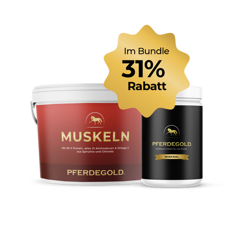 Sparen Sie 31% bei Pferdegold® Muskeln + gratis Mineral Zylinder - ideale pflanzliche Proteine für den Muskelaufbau Ihres Pferdes.