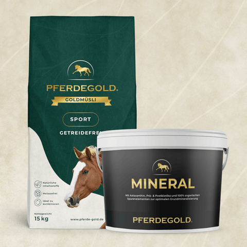 Das Basic Bundle: Turnierchamp getreidefrei von Pferdegold enthält einen Sack und einen Eimer getreidefreies Pferdefutter, jeweils mit goldenem Branding und einem Pferdebild auf der Verpackung.