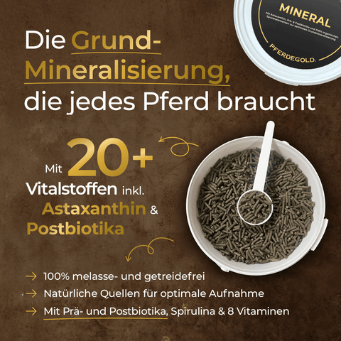 Öffnen Sie Behälter und Schale von Pferdegold Basic Bundle: Turnierchamp getreidefreie Pellets, reich an essentiellen Nährstoffen. Die Produktvorteile sind auf braunem Hintergrund dargestellt - die ideale getreidefreie Wahl für die optimale Gesundheit Ihres Pferdes.