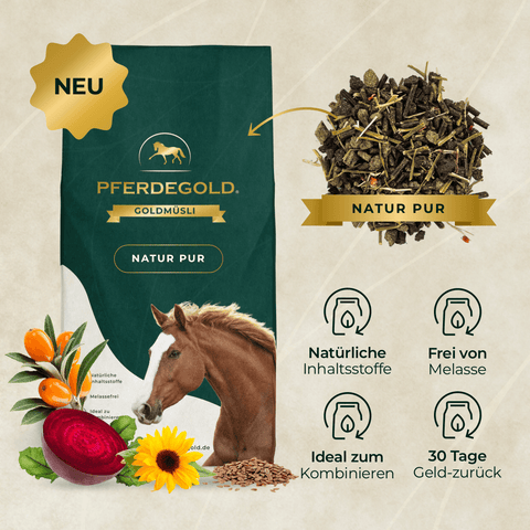 Auf dem grünen Pferdegold®-Beutel mit einem Pferdemotiv ist getreidefreies Müsli für empfindliche Pferde abgebildet, das aus natürlichen Zutaten besteht. Außerdem sind Symbole zu sehen, die Vorteile wie eine ausgewogene Verdauung und eine Geld-zurück-Garantie verdeutlichen.