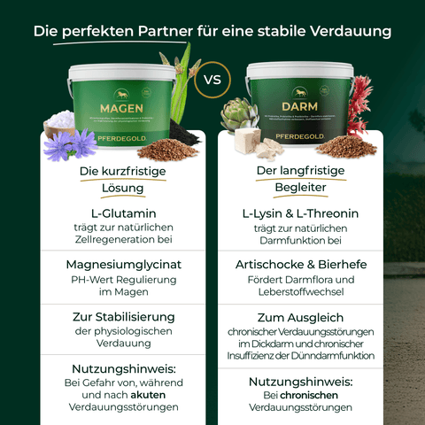 Zwei Futterzusatzprodukte von Pferdegold®: „Verdauungsbalance“ zur Unterstützung der Verdauung und für eine gesunde Darmflora – ideal für empfindliche Pferde oder solche, die ein getreidefreies Müsli benötigen.