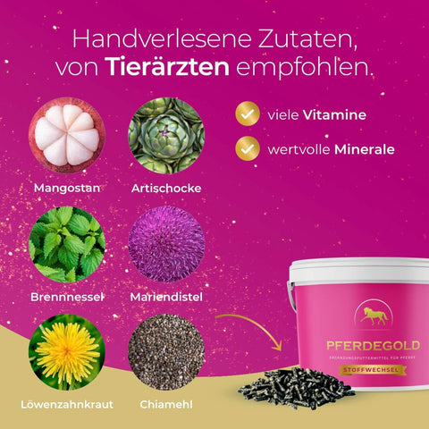 Infografik mit Mangostan, Artischocke, Brennnessel, Mariendistel, Löwenzahn und Chiasamen – ideale Inhaltsstoffe der Vital-Kur von Pferdegold® für eine optimale Nährstoffversorgung.