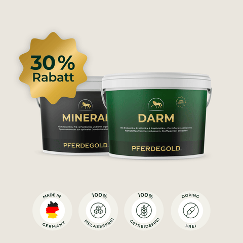 Zwei mit „Weidewechsel“ von Pferdegold® beschriftete Behälter, die jeweils mit einem goldenen „30 % Rabatt“-Aufkleber versehen sind, unterstreichen die Bedeutung einer optimalen Nährstoffversorgung, insbesondere während des Weidewechsels. Darunter heben vier Symbole die Vorteile hervor, die dieses Produkt für Ihre Tiere bietet.