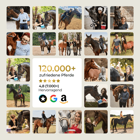 Collage aus Menschen mit Pferden und einem zentralen Feld, in dem Bewertungssterne, über 120.000 Kunden sowie Bewertungslogos zu sehen sind – um die Bedeutung einer optimalen Nährstoffversorgung und der Unterstützung durch Pferdegold® Weidewechsel Darm Mineral hervorzuheben, insbesondere während des Weidewechsels.