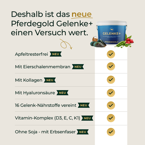Hier ist der neu formulierte Satz mit den angegebenen Produktdaten: Der deutsche Text listet die Vorteile von Pferdegold® Winter Ready auf – mit Symbolen, Häkchen und der Produkttube auf der rechten Seite. Perfekt für die optimale Nährstoffversorgung deines Pferdes – ob im Winteralltag oder während intensiven Trainings.