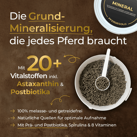 Öffnen Sie den Behälter mit dem Mineralzusatz „Winter Ready“ von Pferdegold® und schöpfen Sie die dunklen Pellets heraus; auf braunem Hintergrund ist ein deutscher Text zum Thema *Nährstoffversorgung und Training für den Winteralltag* zu sehen.