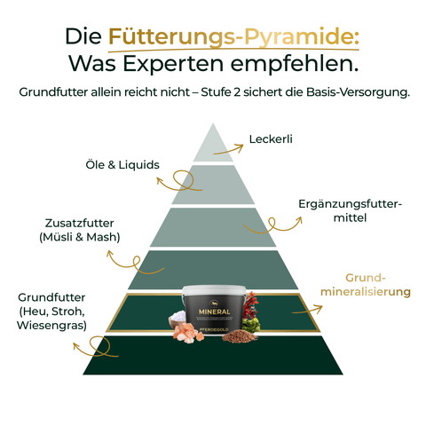 Ein Pyramidendiagramm veranschaulicht die empfohlenen Fütterungsmengen für Pferde, die von Grundfutter über Leckerlis bis hin zu Ergänzungsfuttermitteln reichen, wobei Pferdegold® Winter Ready für eine optimale Nährstoffversorgung während des Trainings oder im Winteralltag sorgt.