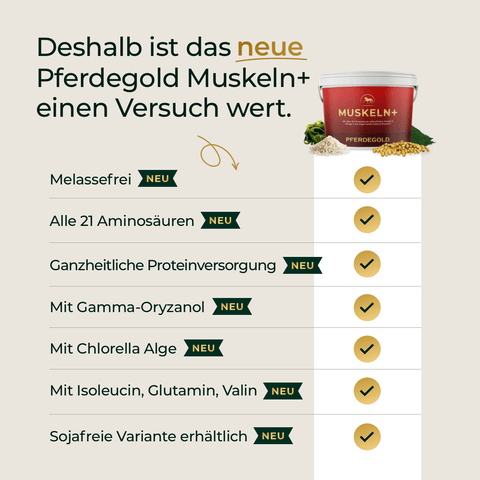 Abbildung des Produkts „Winter Ready + Elektrolyte“ von Pferdegold®, auf der Vorteile wie die Melassefreiheit, der Gehalt an 21 Aminosäuren und die Versorgung mit wichtigen Elektrolyten für Pferde hervorgehoben werden. Ideal als Mineralstoffergänzung für Muskeln und Gelenke und perfekt geeignet als Winterpaket für Ihr Pferd.