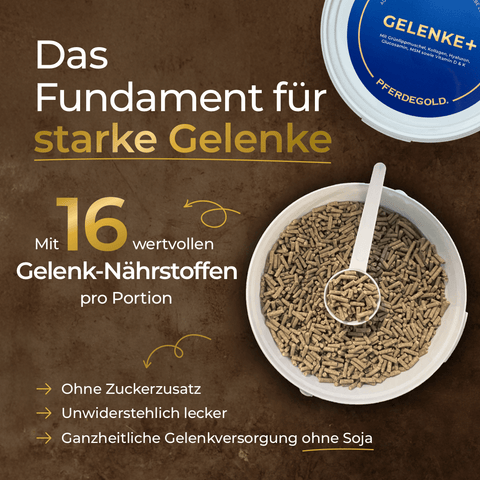 Eine Schale mit braunen Pellets neben einem blauen Behälterdeckel mit der Aufschrift „Winter Ready + Elektrolyte“ auf braunem Hintergrund mit Text, der die wichtige Unterstützung für Muskeln, Gelenke und Mineralstoffhaushalt bei Pferden durch Pferdegold® hervorhebt.