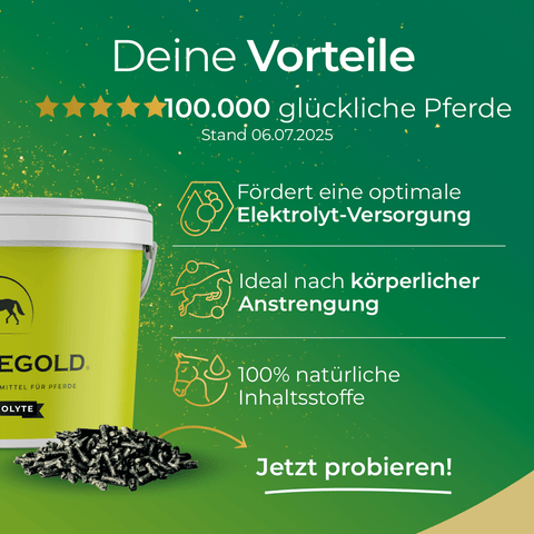 Grüne Werbeanzeige für das Pferdegold® Winter Ready + Elektrolyte-Ergänzungsfuttermittel: zeigt einen Eimer mit schwarzen Pellets, Symbole, die die wichtige Elektrolytversorgung für Pferde hervorheben, sowie einen informativen Text.