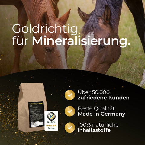 Pferdegold® Mineral Probepackung